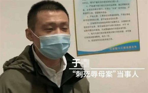 山东辱母案事件最新进展，司法公正与社会关注交融之际的反思与探讨