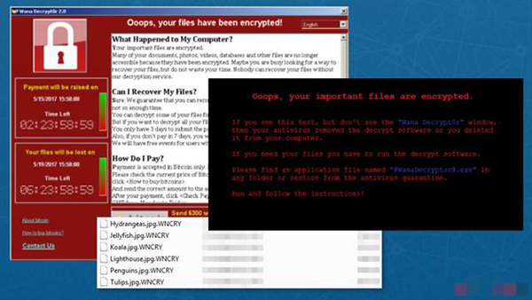 WannaCry 病毒样本下载，威胁分析与应对指南