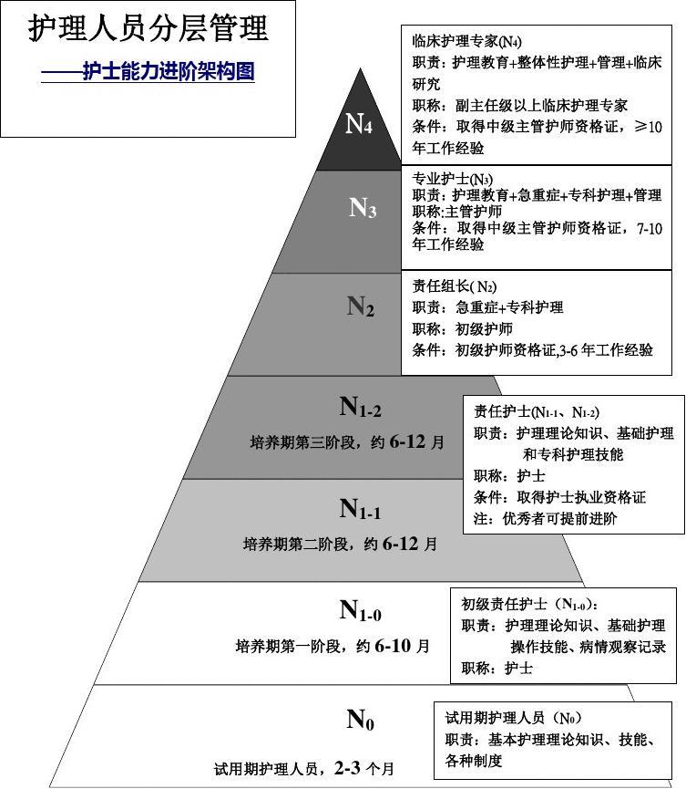 最新护理级别指南，改善患者护理质量与体验的革命性指引