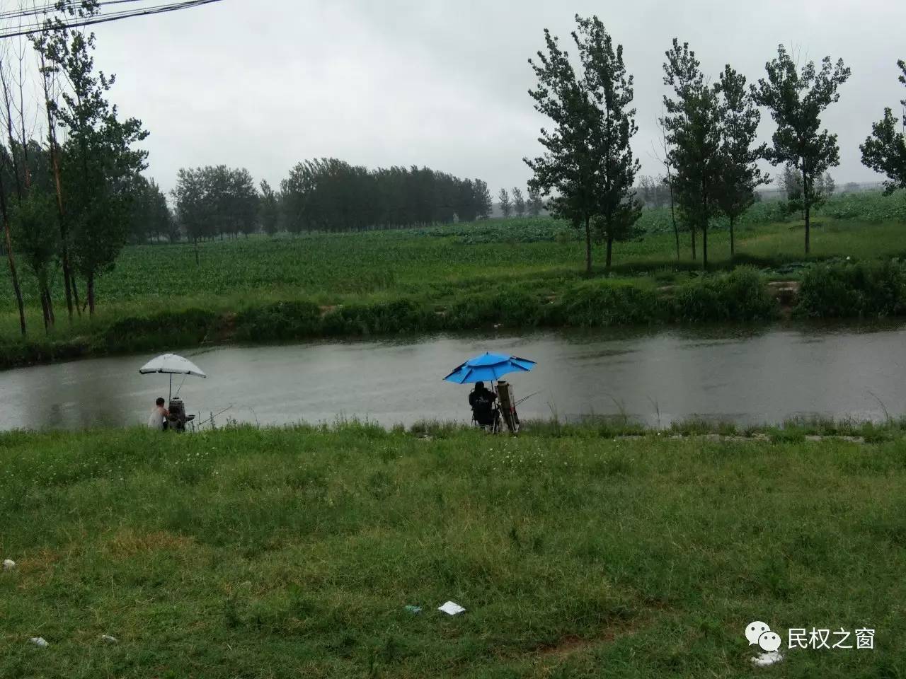 民权湿地公园最新动态，生态建设的蓬勃发展势头强劲