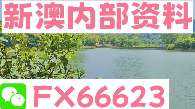 新澳精准资料免费提供265期,精准实施解析_4K版64.100