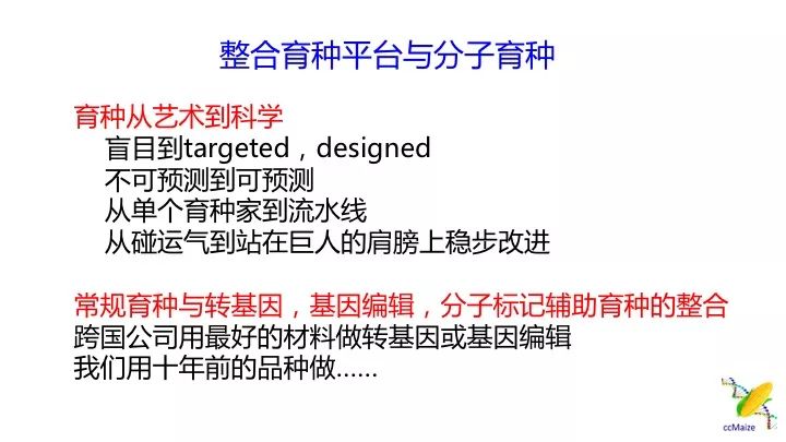 新澳门出今晚最准确一肖,环境适应性策略应用_挑战版91.521