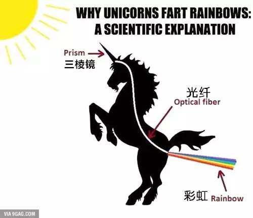 天天日天天操心,科学分析解释定义_界面版80.929