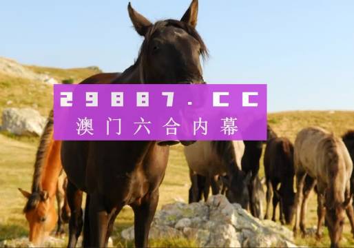 澳门管家婆正版资料免费公开,权威分析说明_网页款79.484