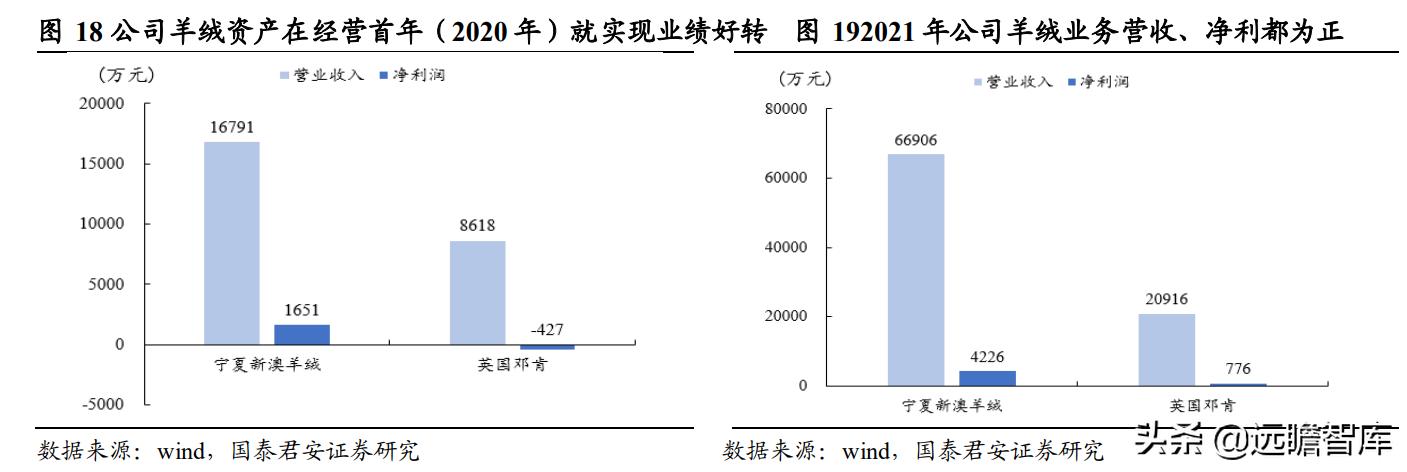 新澳最新版资料心水,数据驱动执行方案_游戏版256.184