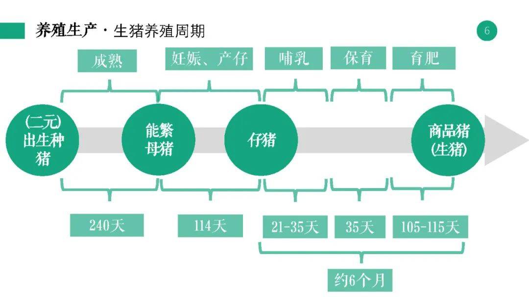 新澳最新最快资料351期,理论分析解析说明_HDR版51.712