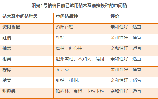 2024澳门六今晚开奖结果是多少,实证解析说明_NE版75.526