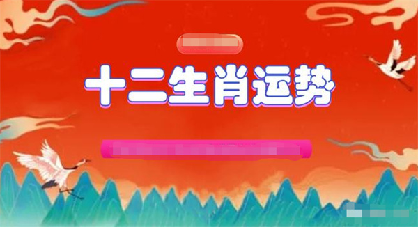 2024年一肖一码一中一特,数据解析说明_android74.410