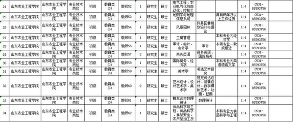 滨州市招聘网最新动态深度解析，求职招聘趋势及机会探讨