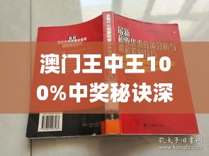 新澳门王中王100%期期中,完整的执行系统评估_特供版77.456