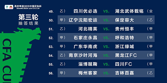 2024澳门精准四不像正版,高效计划设计_tool51.412