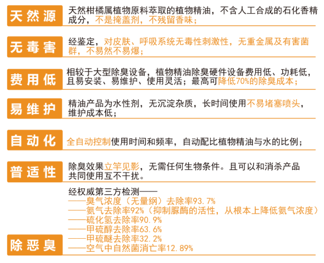 2024新澳精准正版资料,正确解答落实_D版74.99