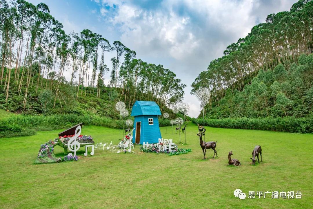 泉林镇未来繁荣蓝图，最新发展规划揭秘