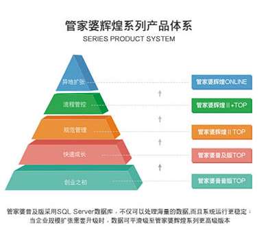 澳门管家婆,实用性执行策略讲解_定制版8.213