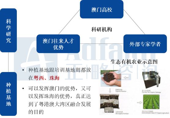 ヤ经典坏疍 第3页