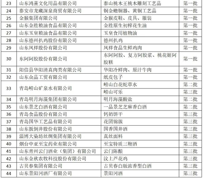 2024年正版资料免费大全亮点,专家解析意见_S40.579