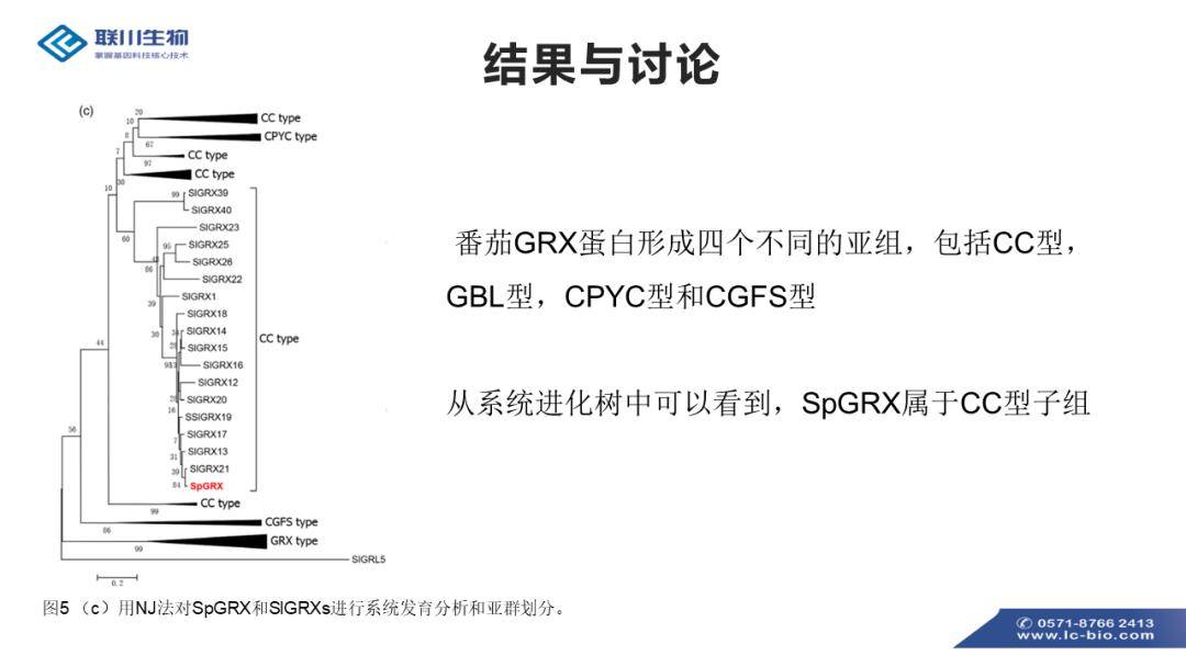 2024全年资料免费大全功能,持久性策略设计_Elite69.325