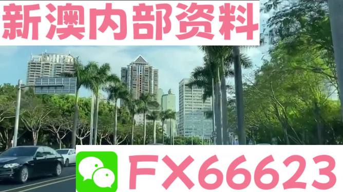 新澳最新最准资料大全,战略优化方案_领航款81.856