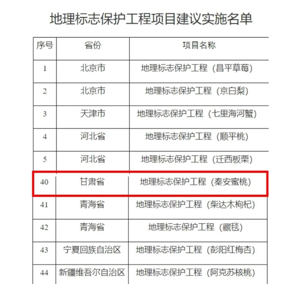 奥门开奖结果+开奖记录2024年资料网站,经济性执行方案剖析_游戏版256.183