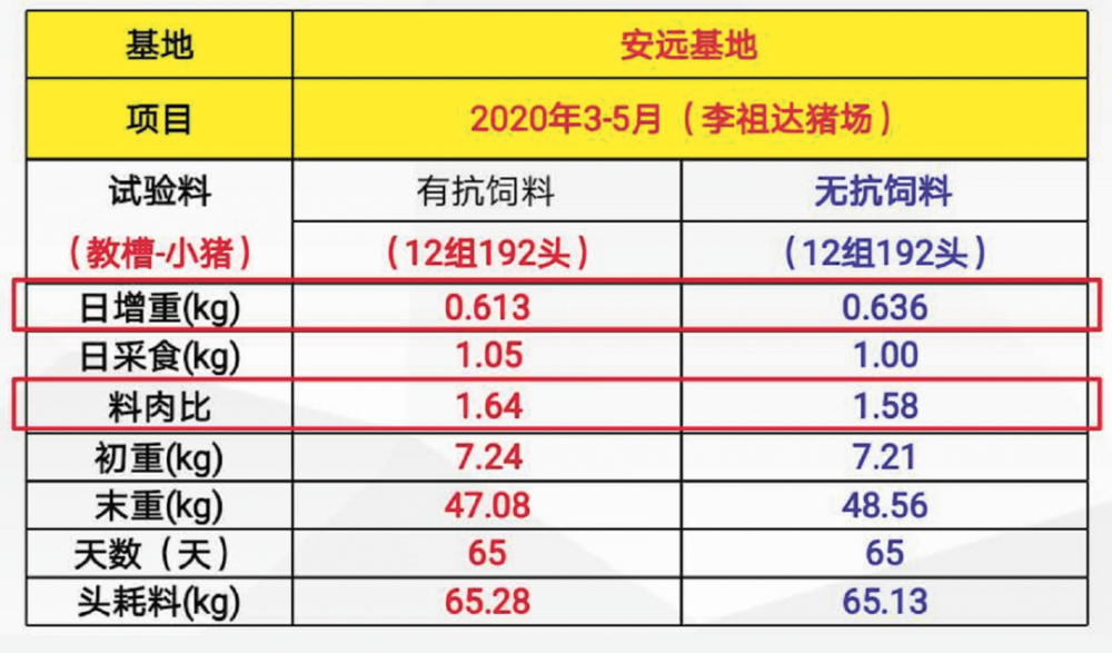 118神童网最准一肖,实地计划设计验证_1080p21.608