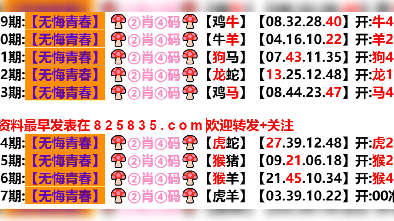 2024新奥门天天开好彩大全85期,正确解答落实_视频版50.980