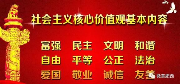 威县统计局最新招聘信息详解