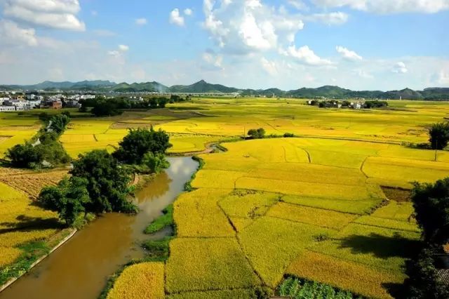 宾阳县水利局最新项目，推动县域水利建设迈上新台阶