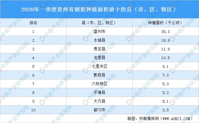 黔西县统计局最新招聘启事