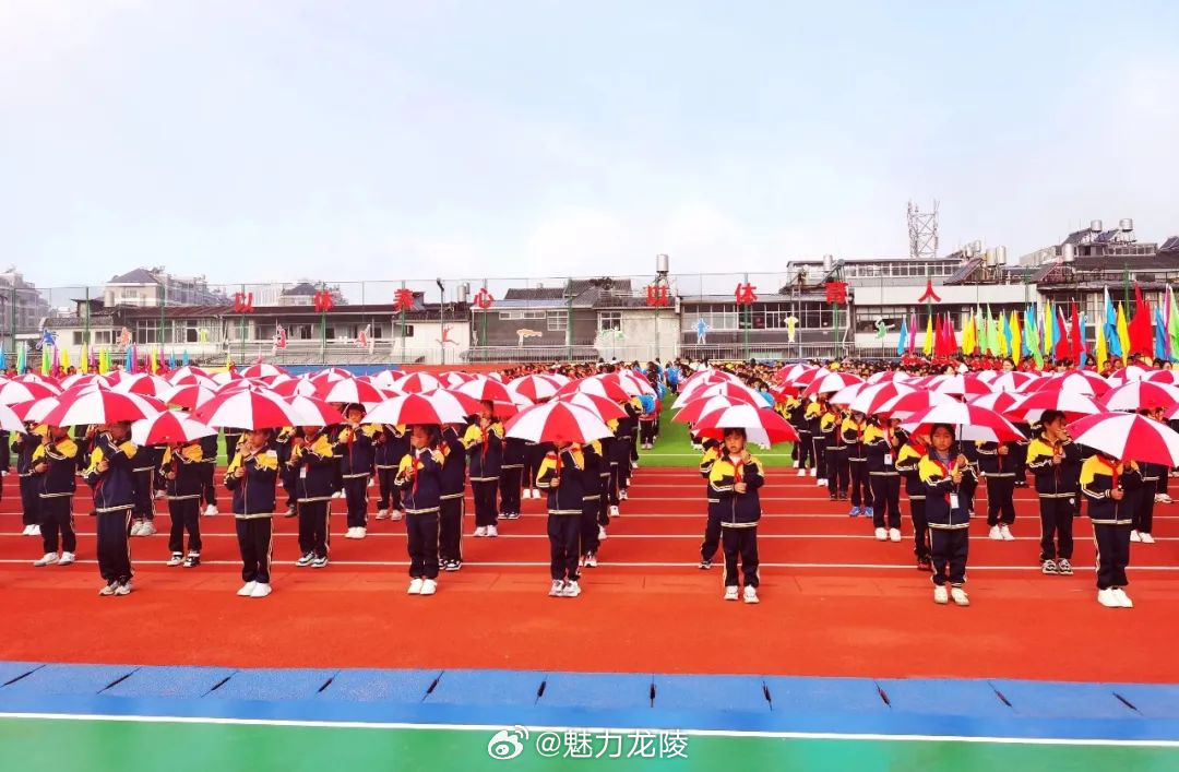 龙山区小学新项目，开启教育新篇章的里程碑